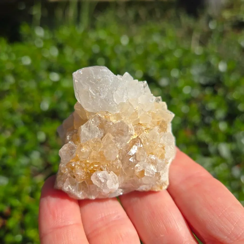 Spirit Cactus Quartz with Clusters and Quartz Pyramid Point #1